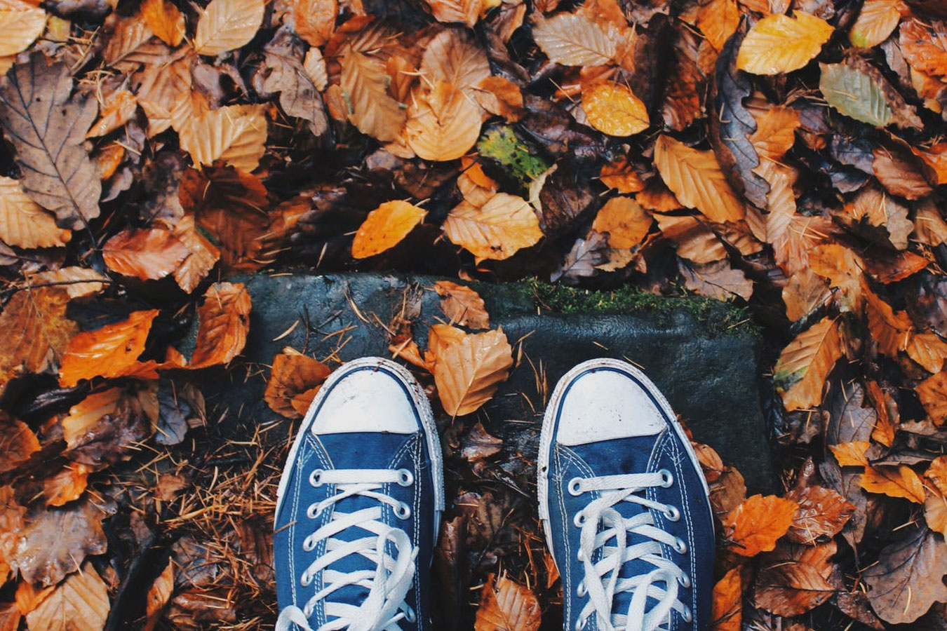 15 Fall Event Ideas photo